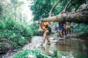 BIB: 
                            <button type="button" onclick="openModal(25455603)" class="btn btn-primary btn-sm float-right btn-popup" data-toggle="modal" data-target=".modal-high-quality">
                        <i class="fas fa-shopping-cart"></i> Add to Cart
                    </button>
                                            <button type="button" onclick="isThisMe(25455603, true)" class="btn btn-success btn-sm float-right btn-popup btn-isme hidden" data-toggle="tooltip" data-placement="bottom" title="นี่คือรูปของคุณใช่ไหม คลิกที่นี่เพื่อเอาเข้าอัลบั้ม">
                        <i class="fas fa-plus"></i> Add to album
                    </button>
                    <button type="button" onclick="isThisMe(25455603, false)" class="btn btn-warning btn-sm float-right btn-popup btn-isnotme hidden">
                        <i class="fas fa-ban"></i> Remove from album
                    </button>